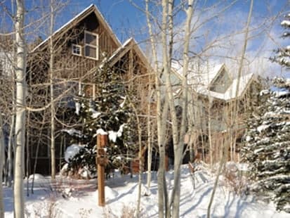 Cabin in the Pines