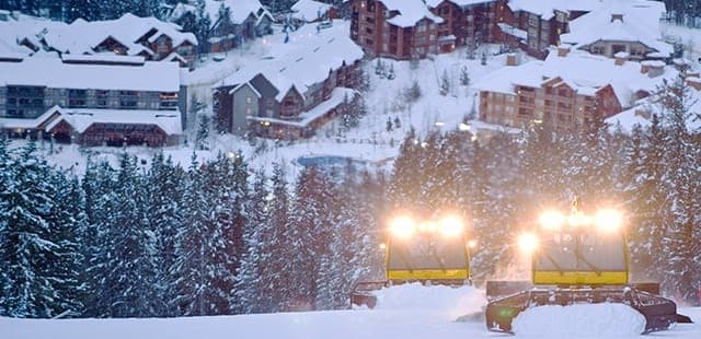 Ski Tip or Tamarack