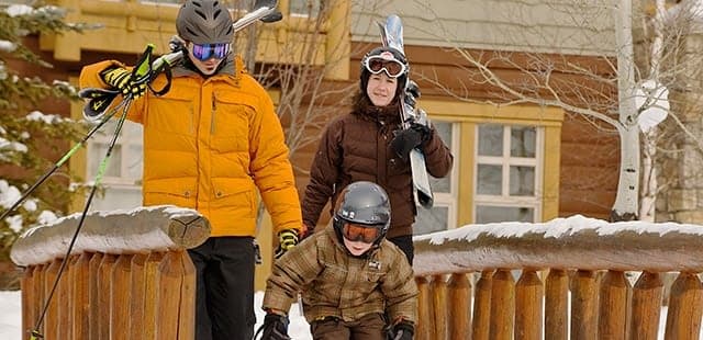 Ski Tip or Tamarack