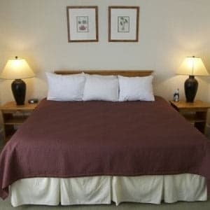 Mountainside Inn