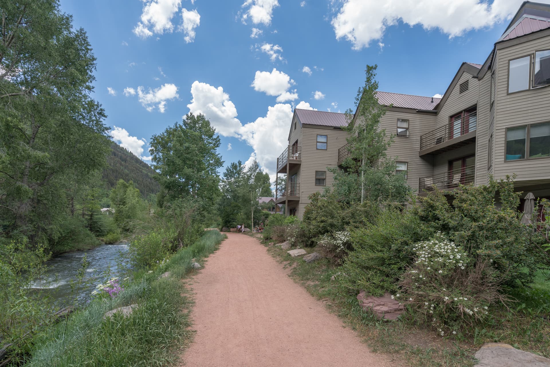 The River trail