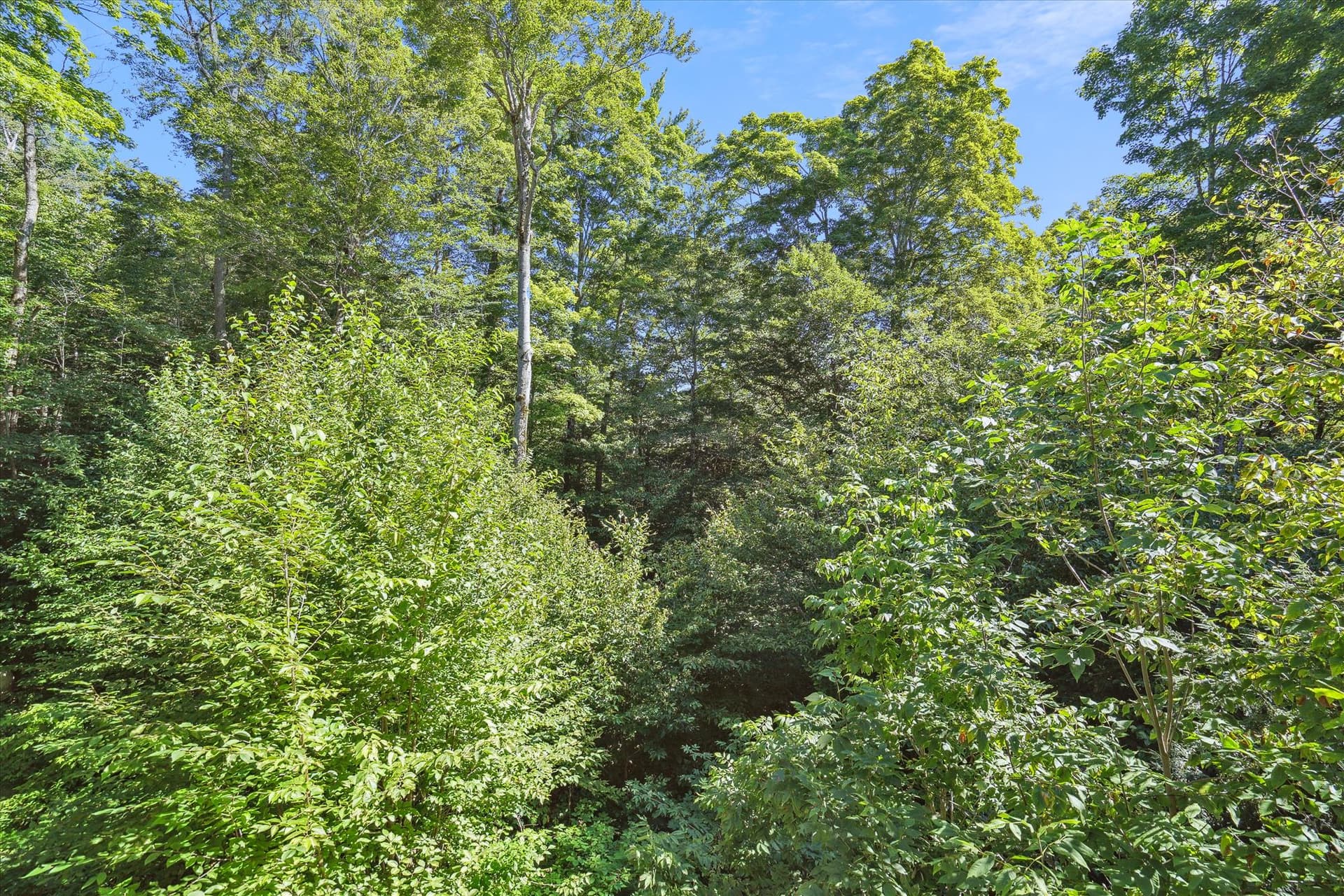 View around your lodging