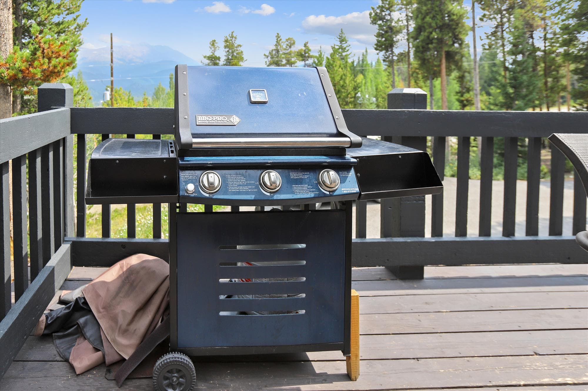 Grill, The Duck House, Breckenridge Vacation Rental