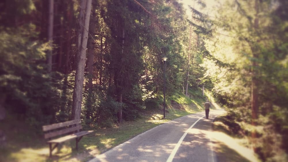 Hiking