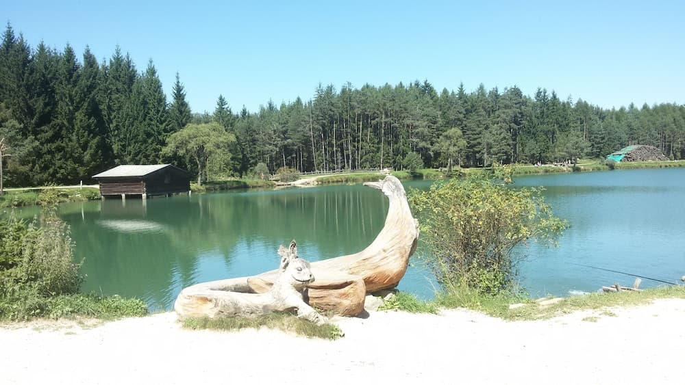 Hiking