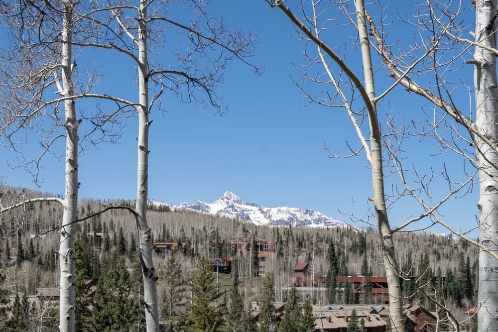 Mountain view