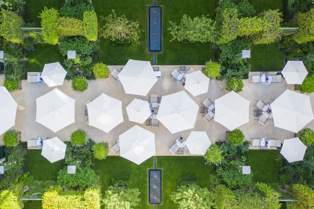 Garden view