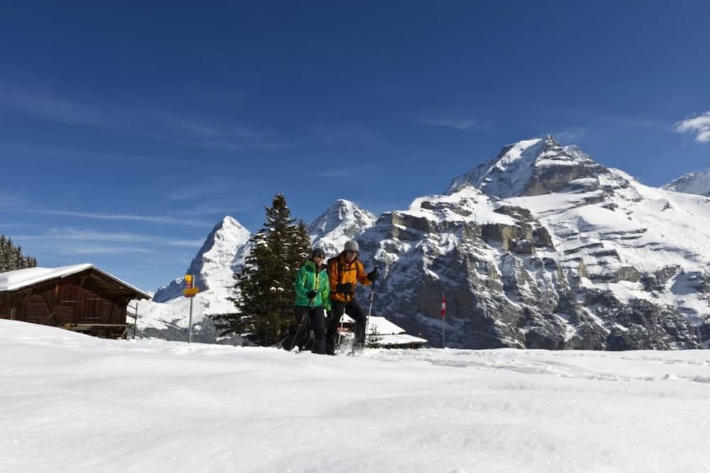 Snow and ski sports