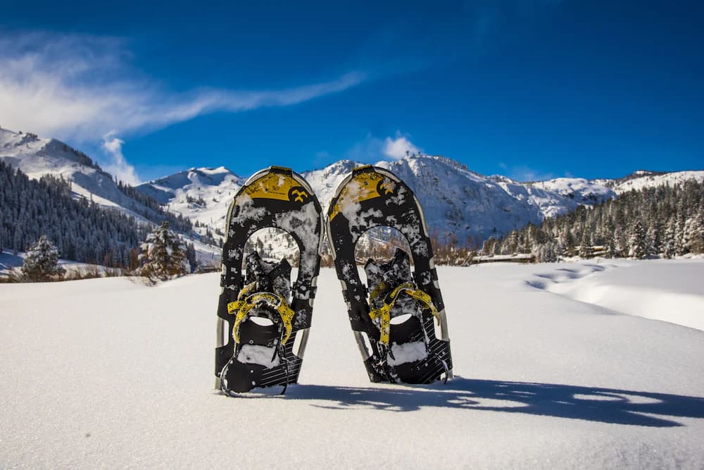 Snowshoeing