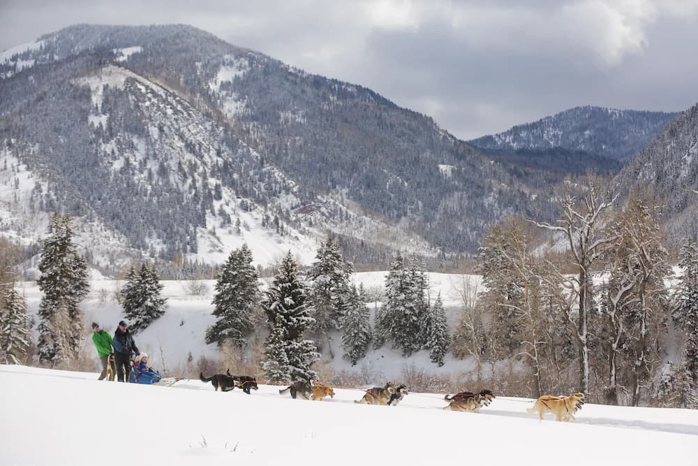 Snow and ski sports