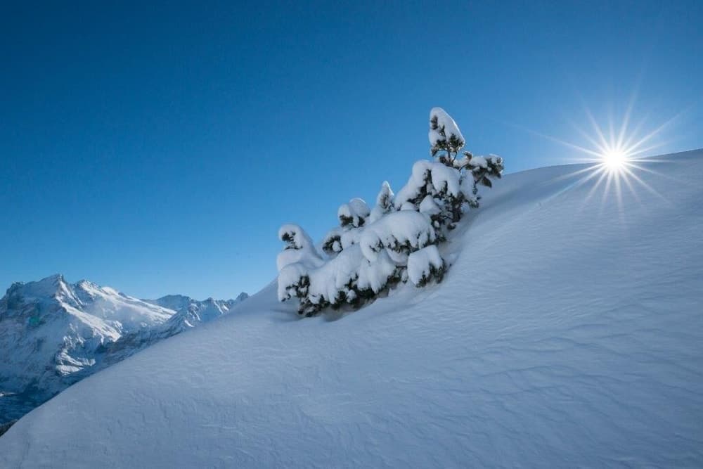 Land view from property