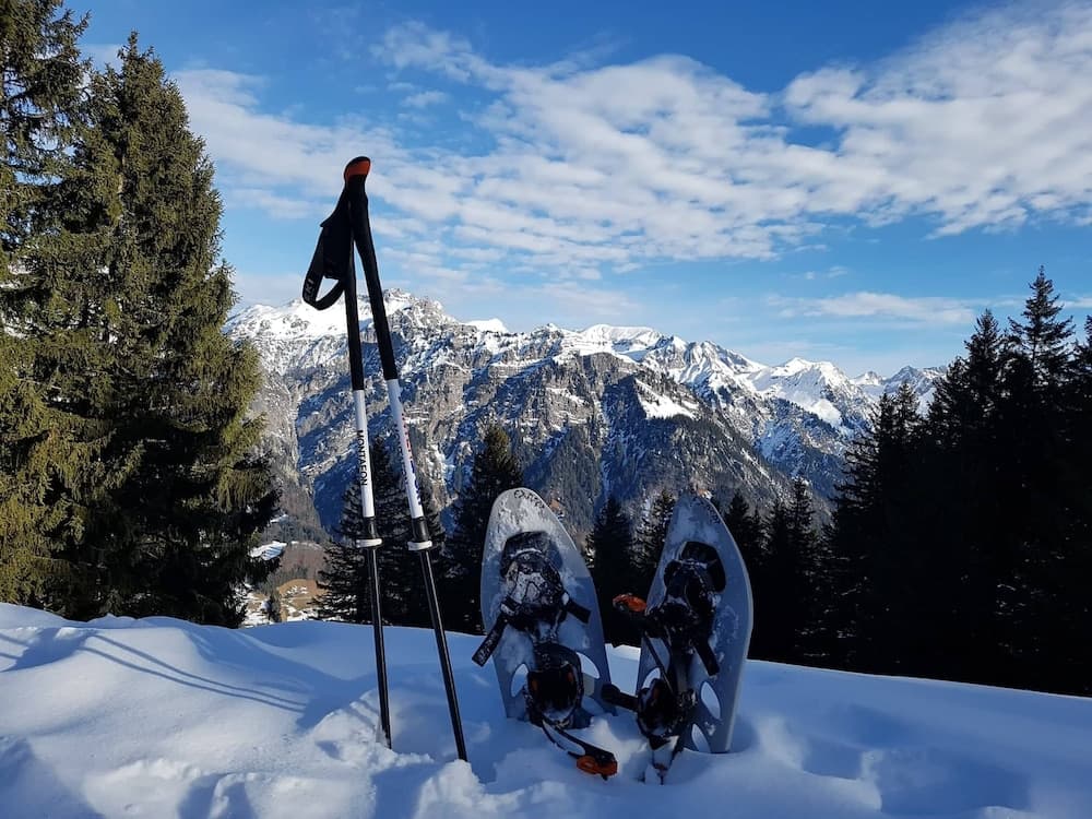 Snowshoeing