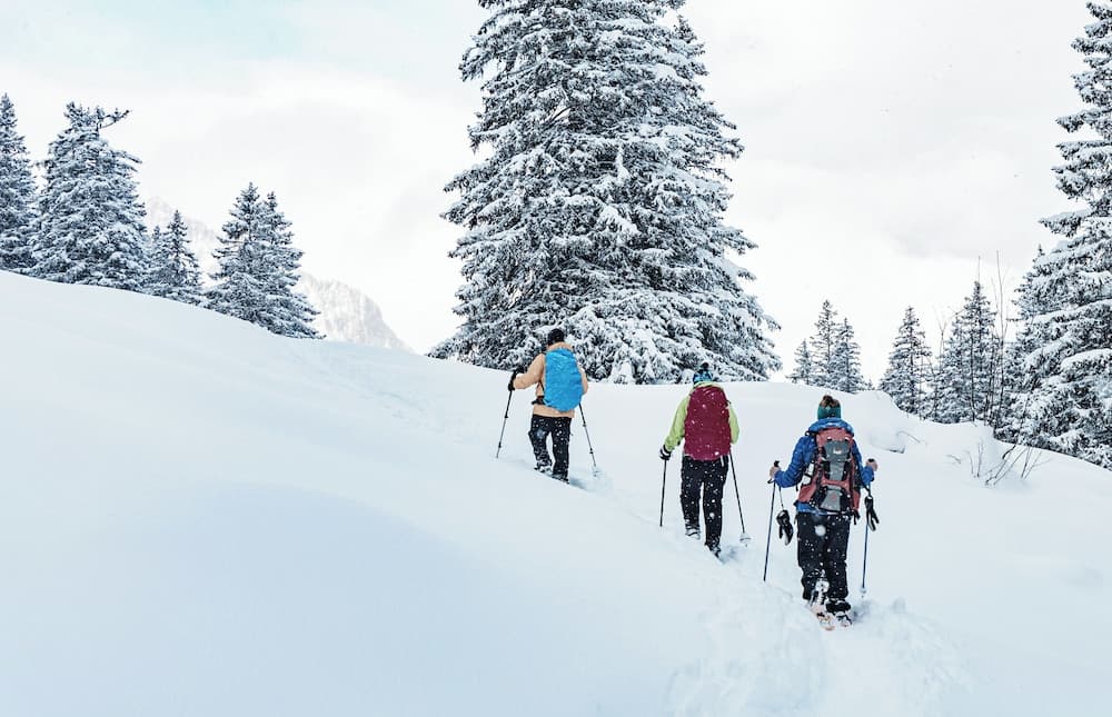 Snowshoeing