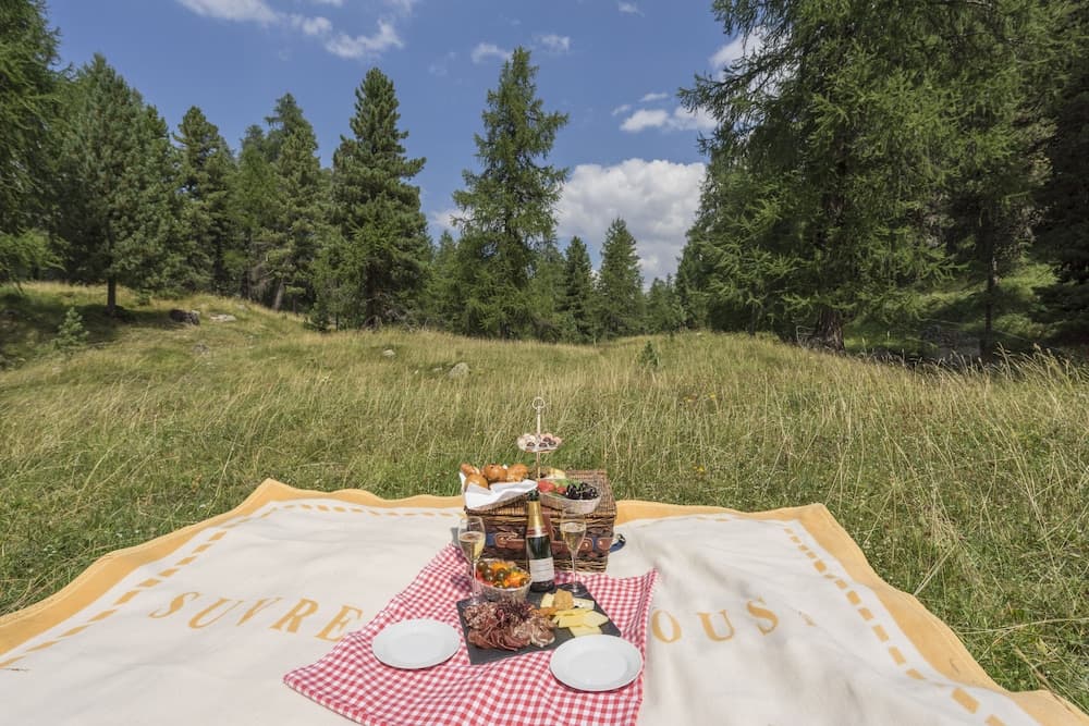 BBQ/picnic area