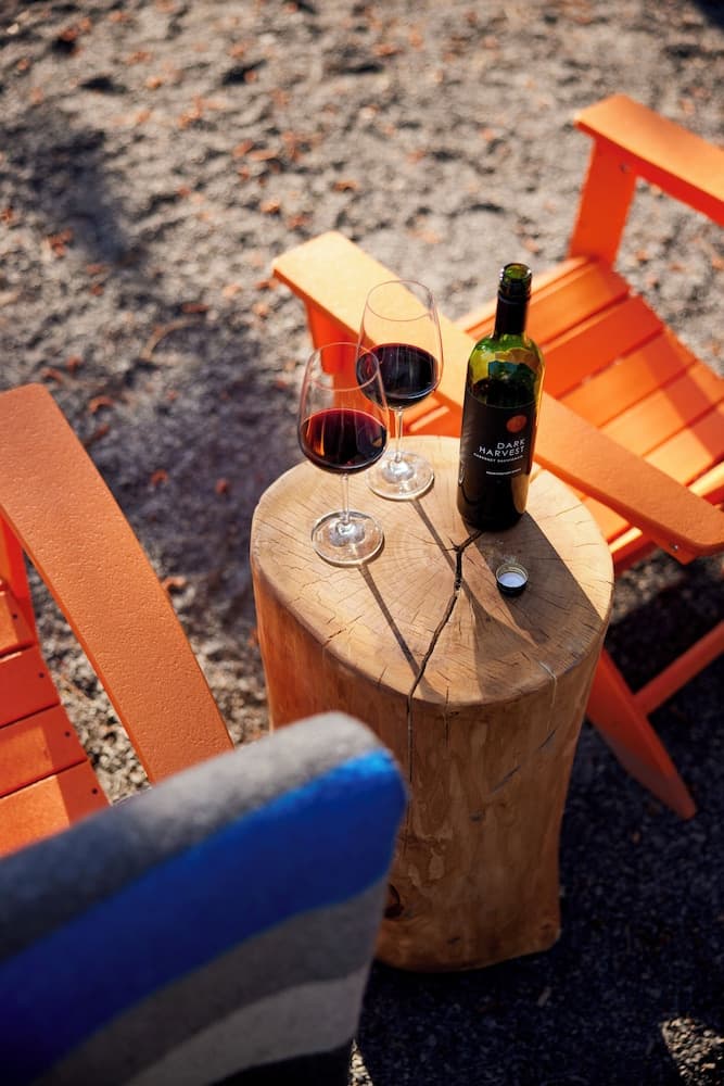 BBQ/picnic area