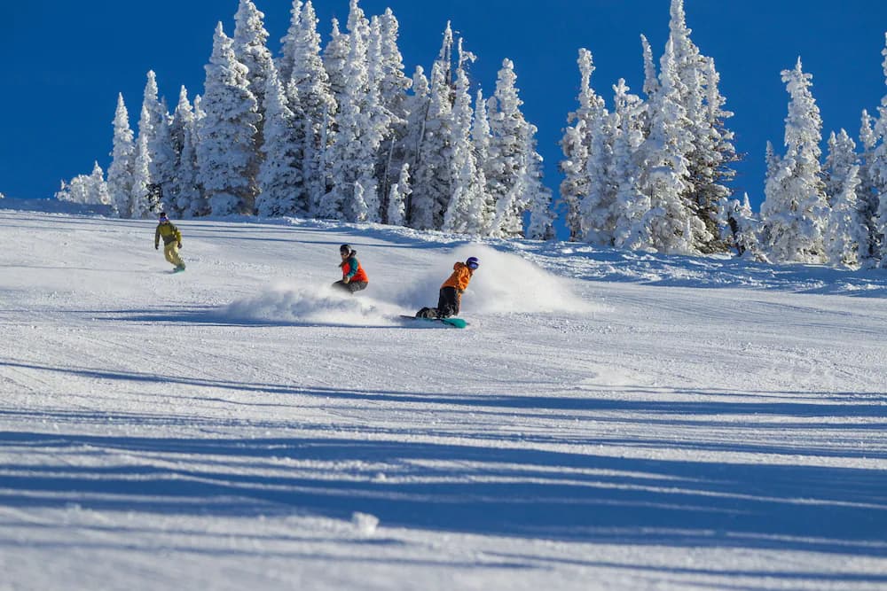 Skiing