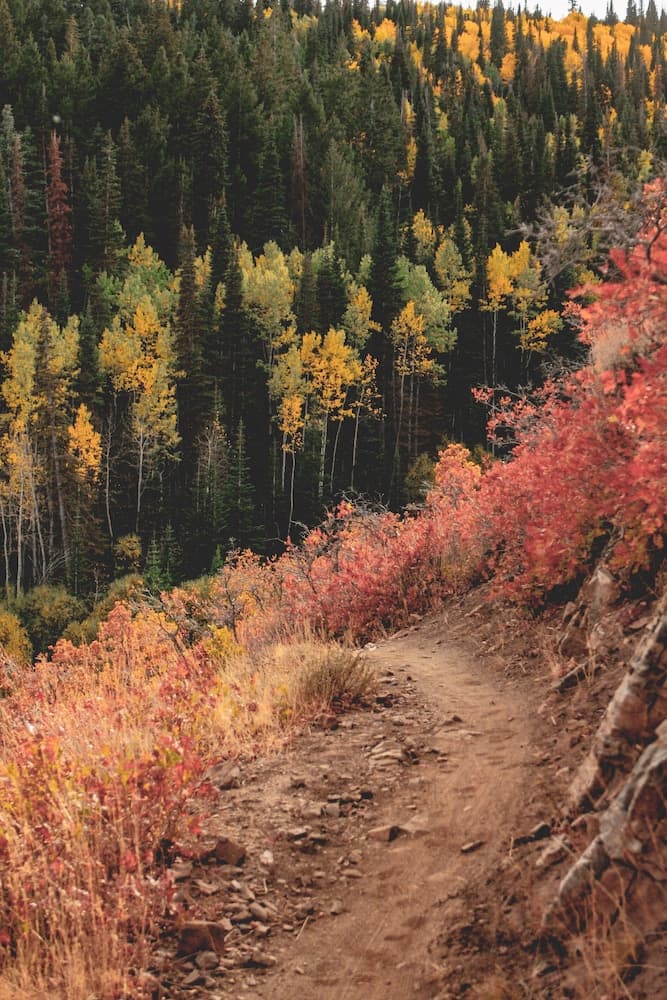 Hiking