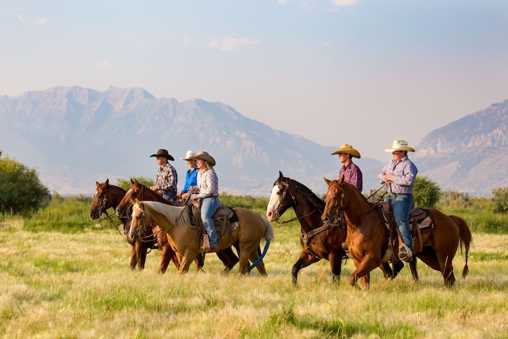 Horseback riding
