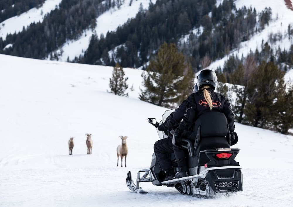 Snowmobiling