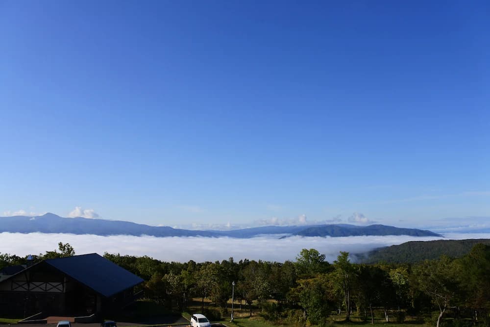View from room