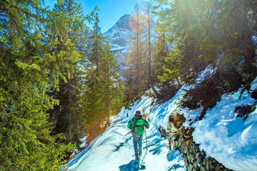 Hiking