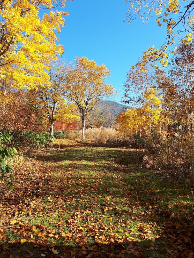 Land view from property