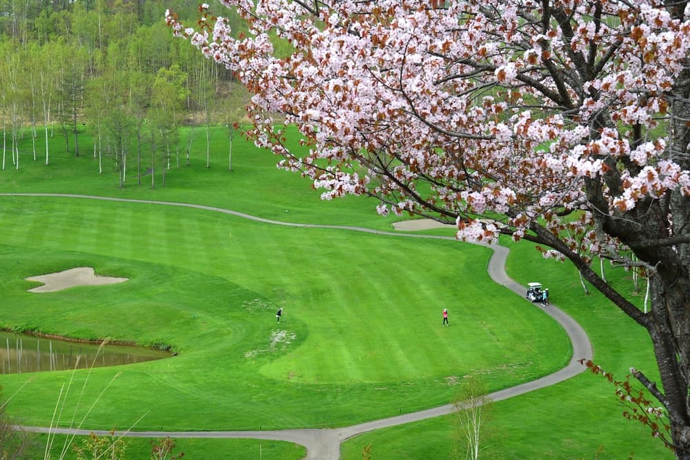 Golf