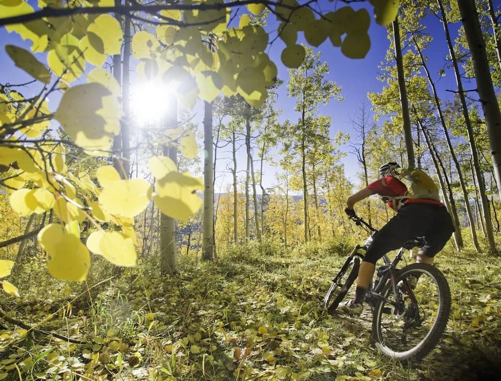 Bicycling