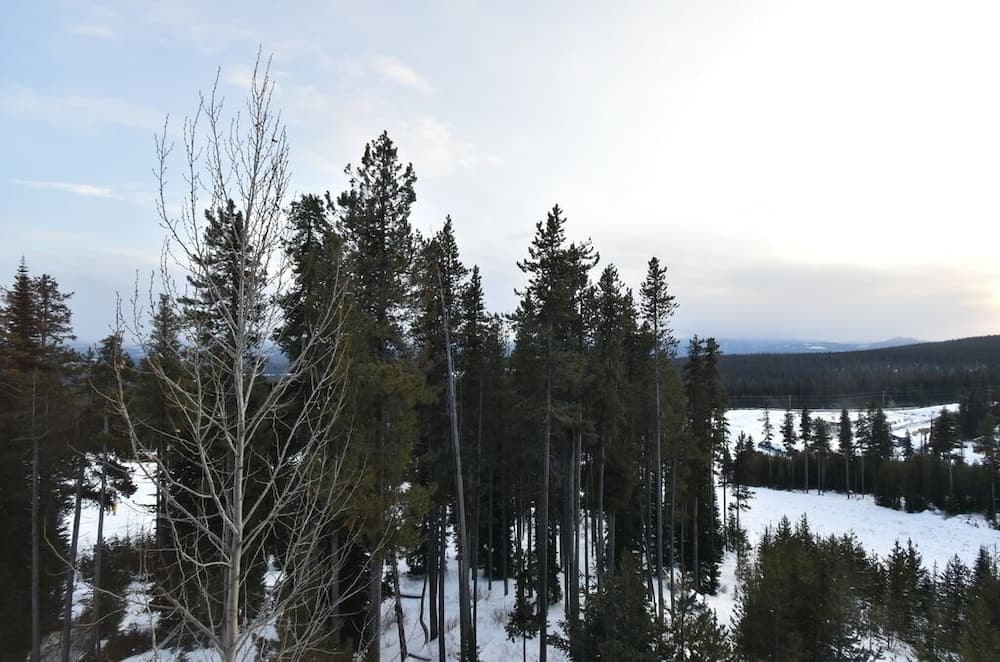 Hill view