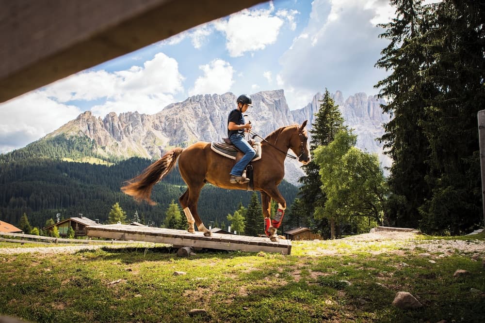 Horseback riding