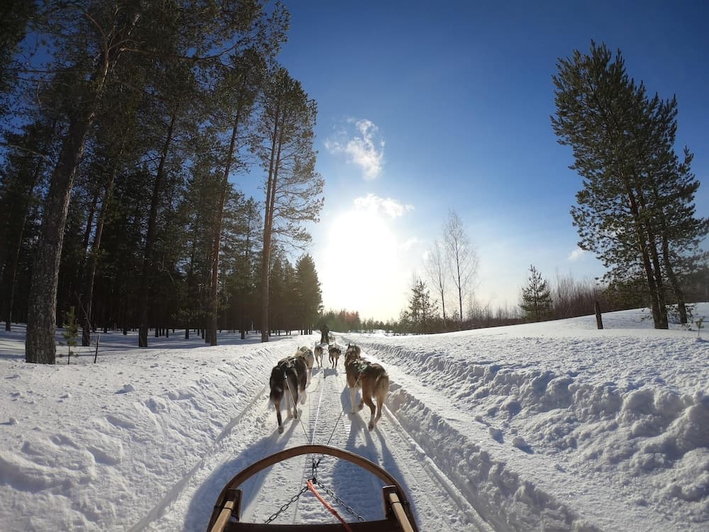 Snow and ski sports