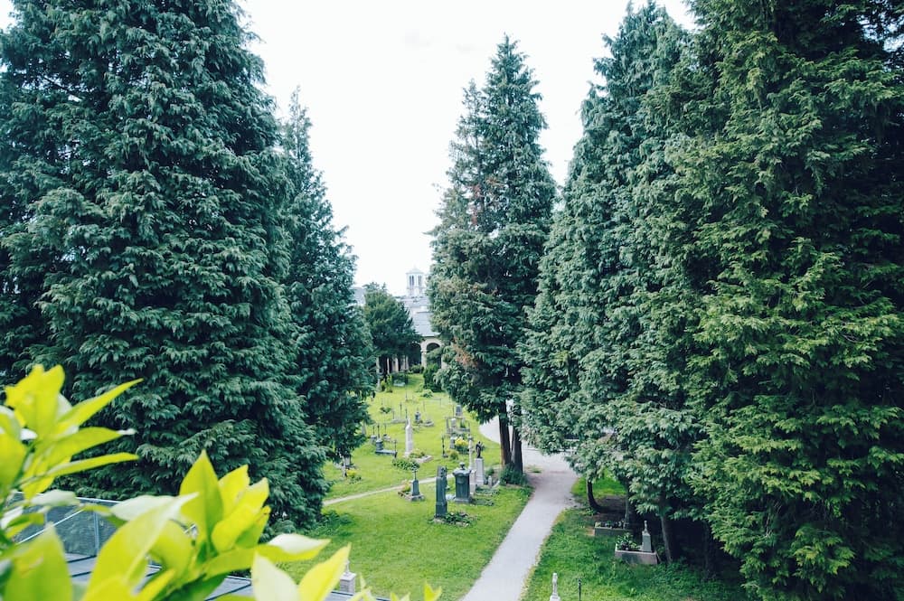 View from property