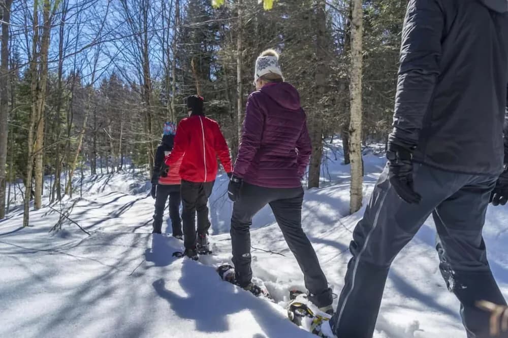 Snowshoeing