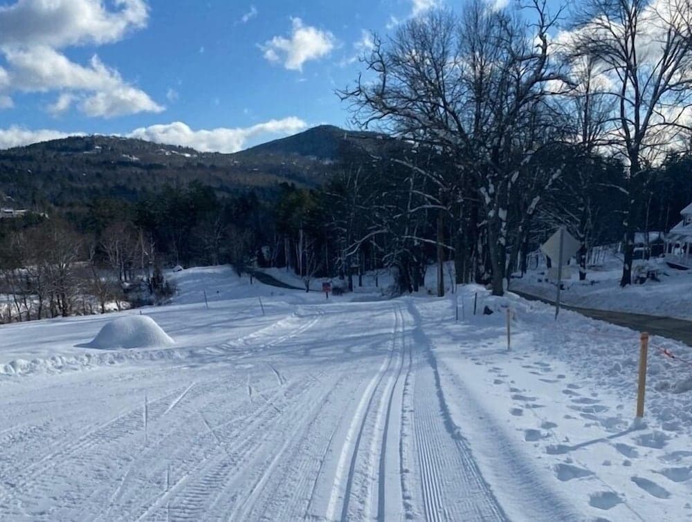 Snowshoeing