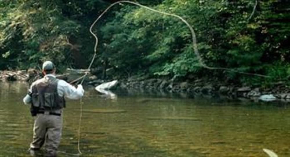 Fishing