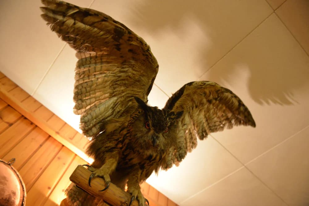 Interior detail