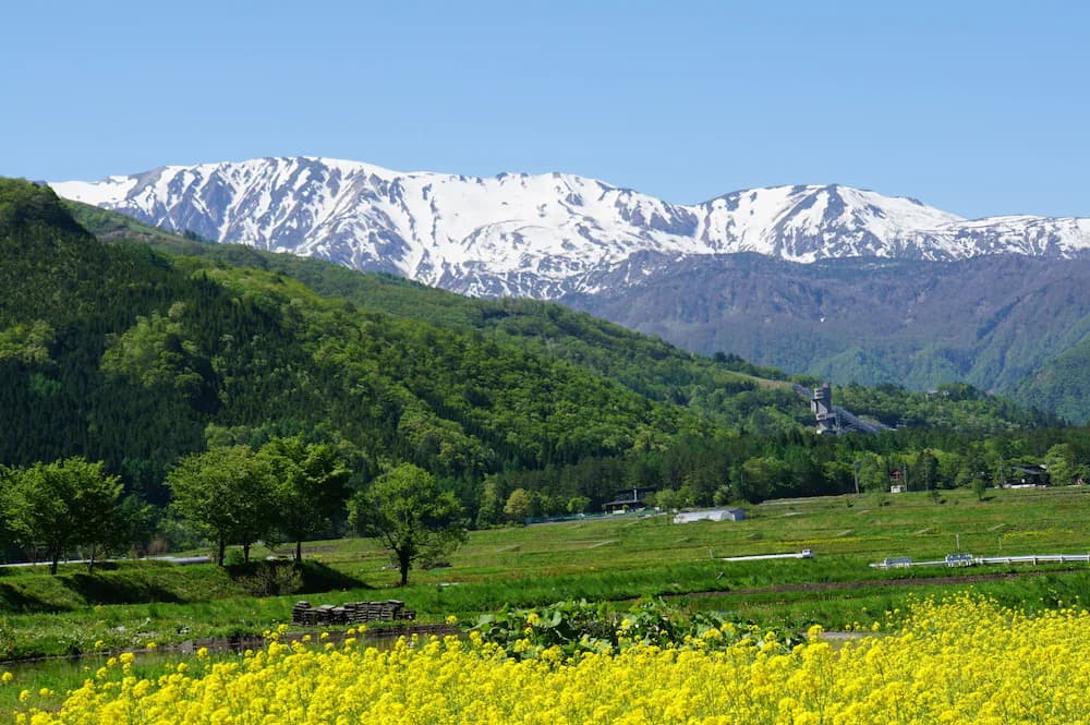 Mountain view