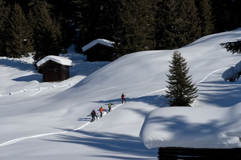 Snowshoeing