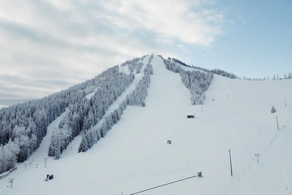 Skiing