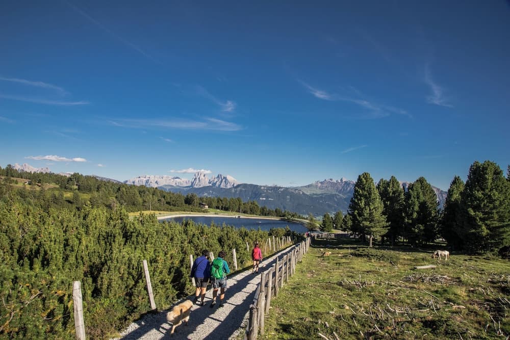 Hiking