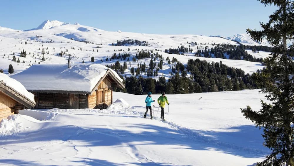 Snowshoeing