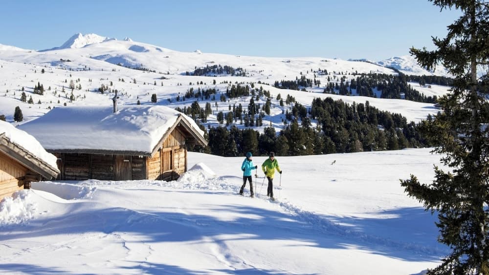 Snowshoeing