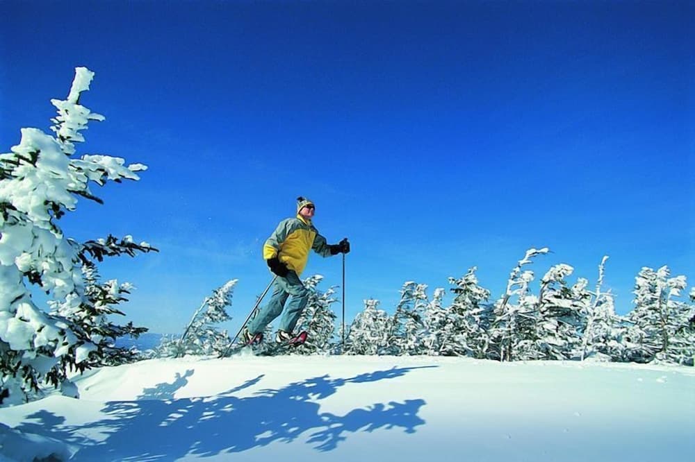 Skiing