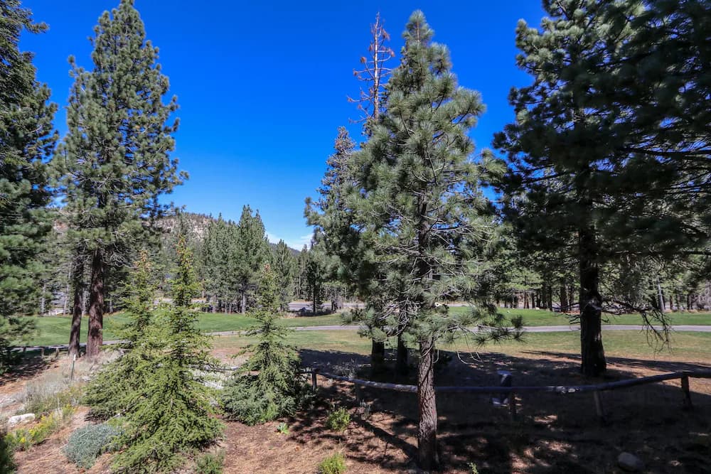 View from property