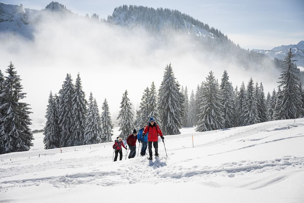 Snowshoeing