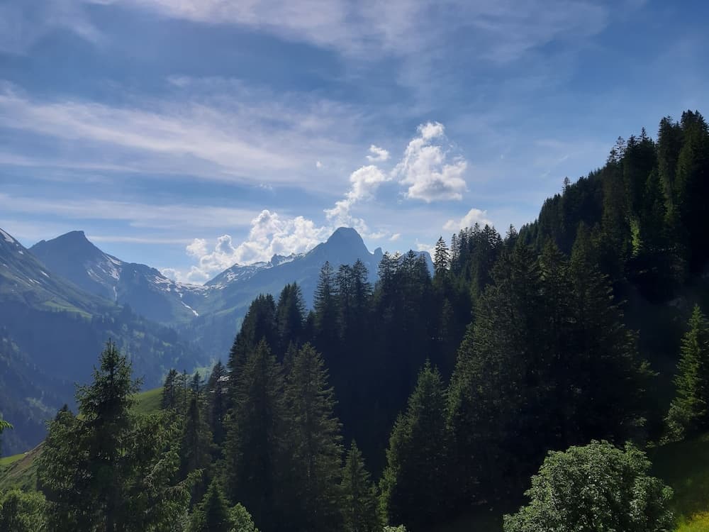 Mountain view