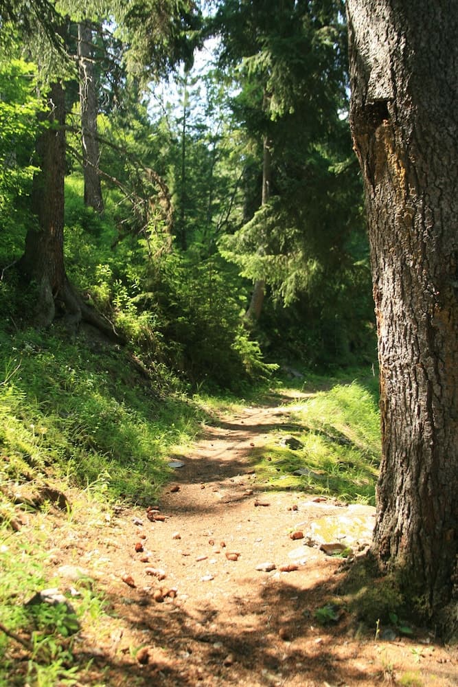 Hiking
