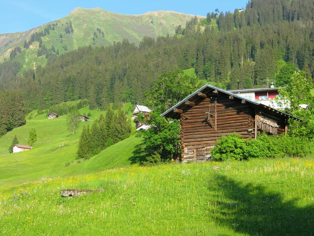 Mountain view