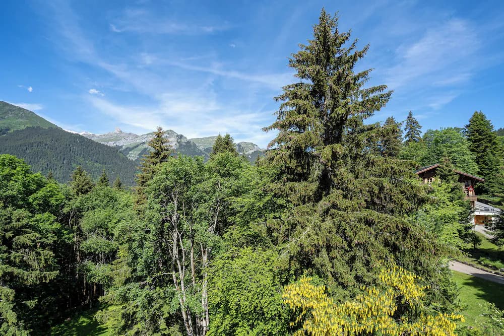 View from room