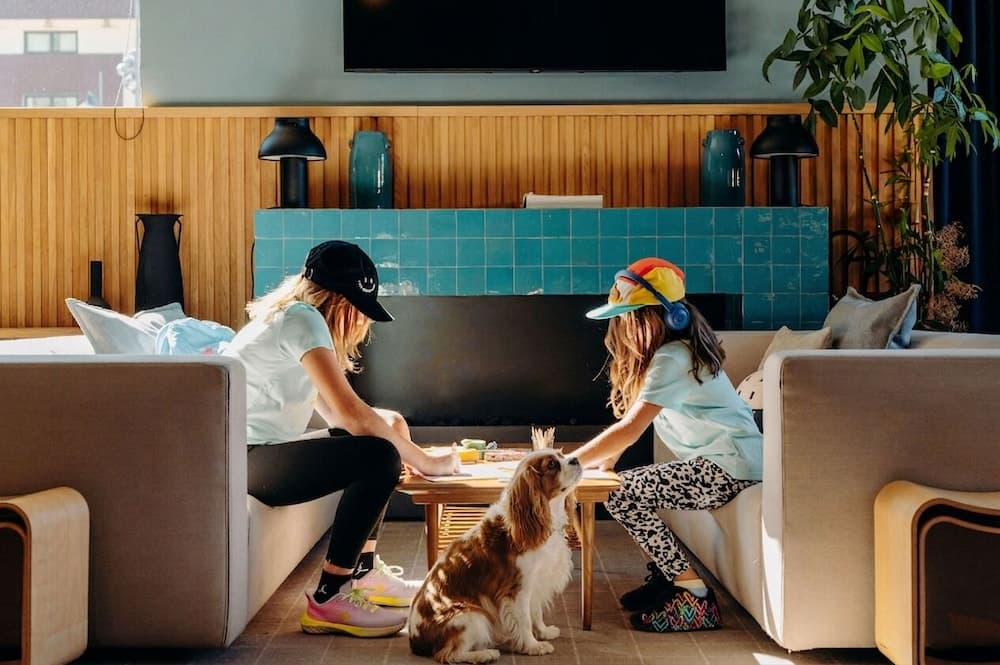 Pet-friendly